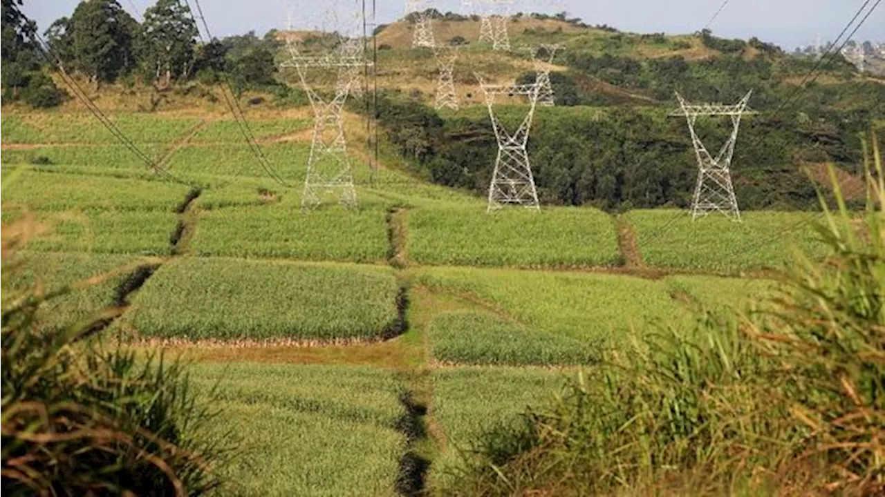 Amankan Stok Beras RI 80 Tahun, Prabowo Mau Cetak 3 Juta Ha Sawah Baru