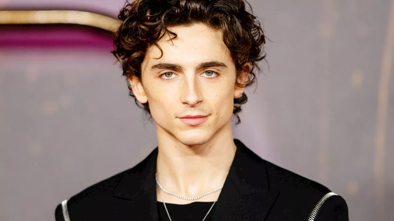 Timothée Chalamet si presenta a una gara per sosia di Timothée Chalamet, ma perde: il video in cui lo riconoscono