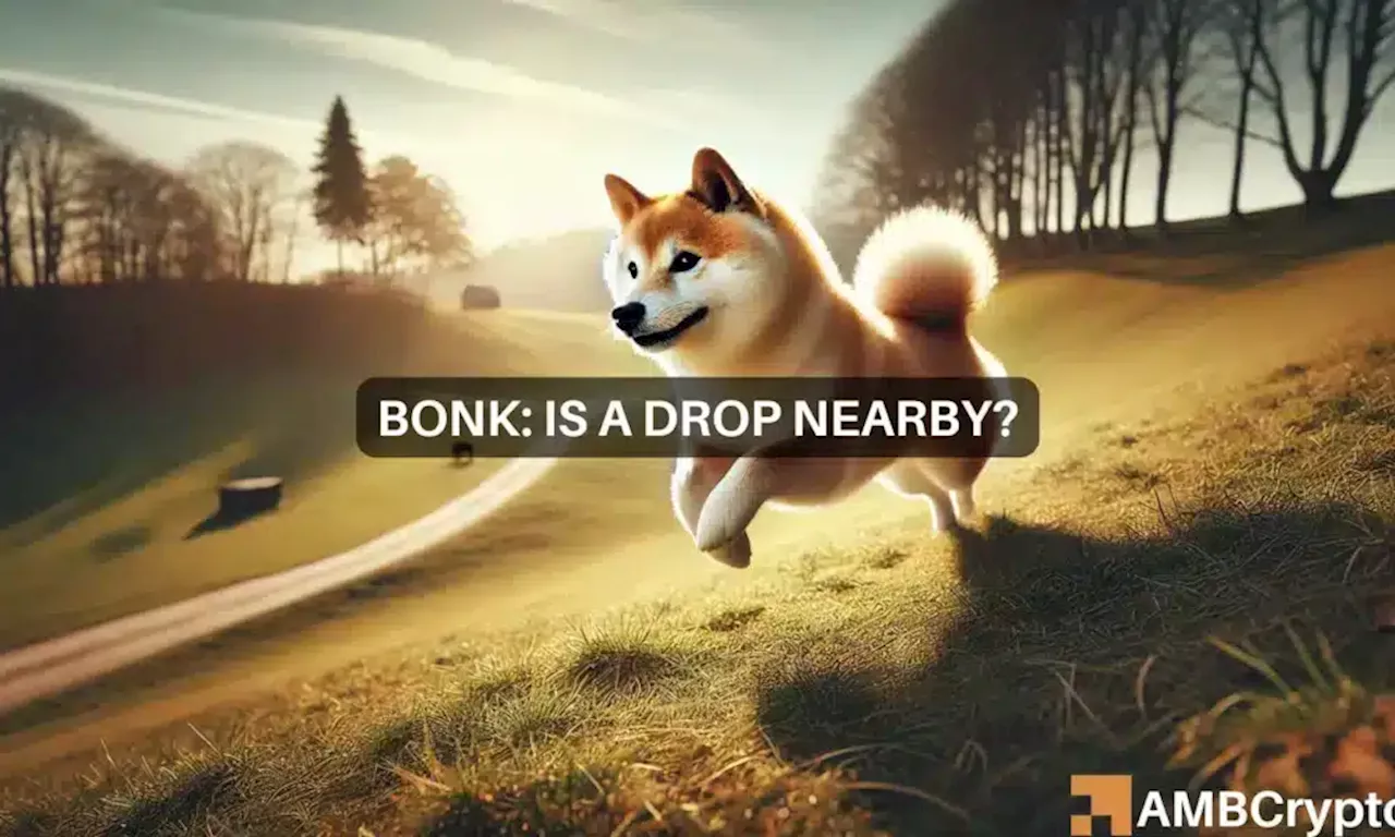 BONK update: Rebound or retreat? Key indicators show mixed outlook