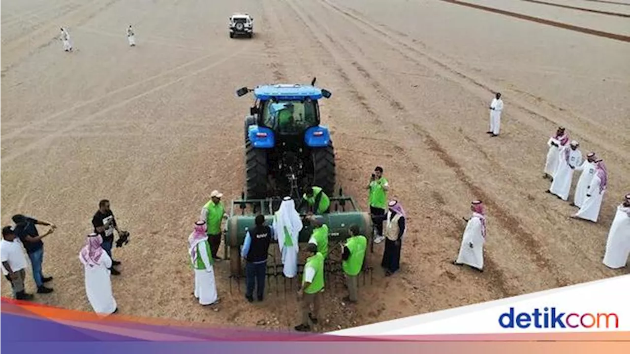 Arab Saudi Perluas Penghijauan di Madinah, Wujudkan Visi Hijau