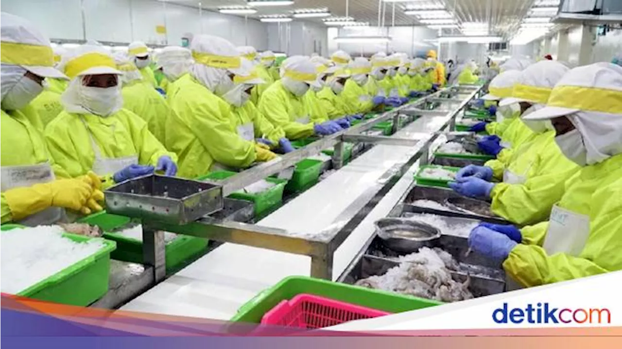 Ada Perbedaan Tarif Bea Masuk Udang RI ke AS, Picu Persaingan Usaha Tidak Sehat