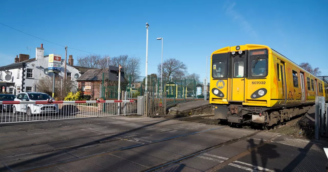 Merseyrail trains cancelled after 'dog' spotted on tracks