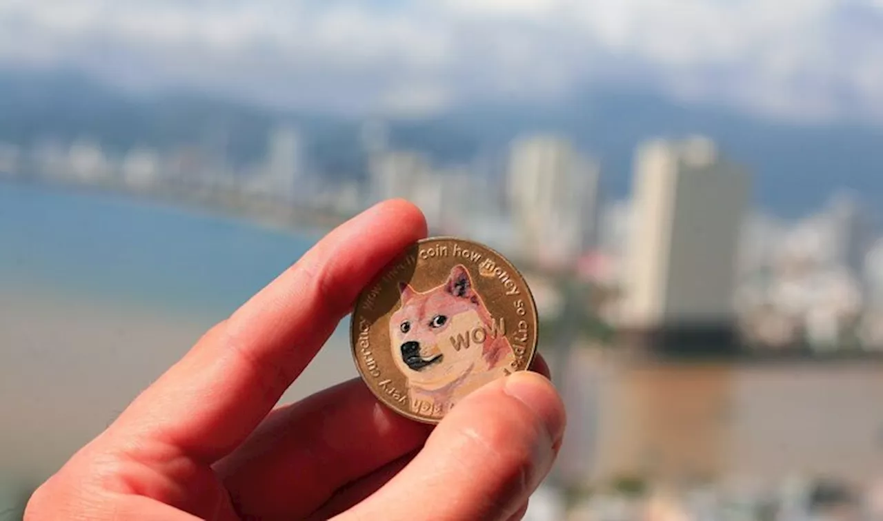 Dogecoin Price Forecast: Why DOGE could rally 14%?