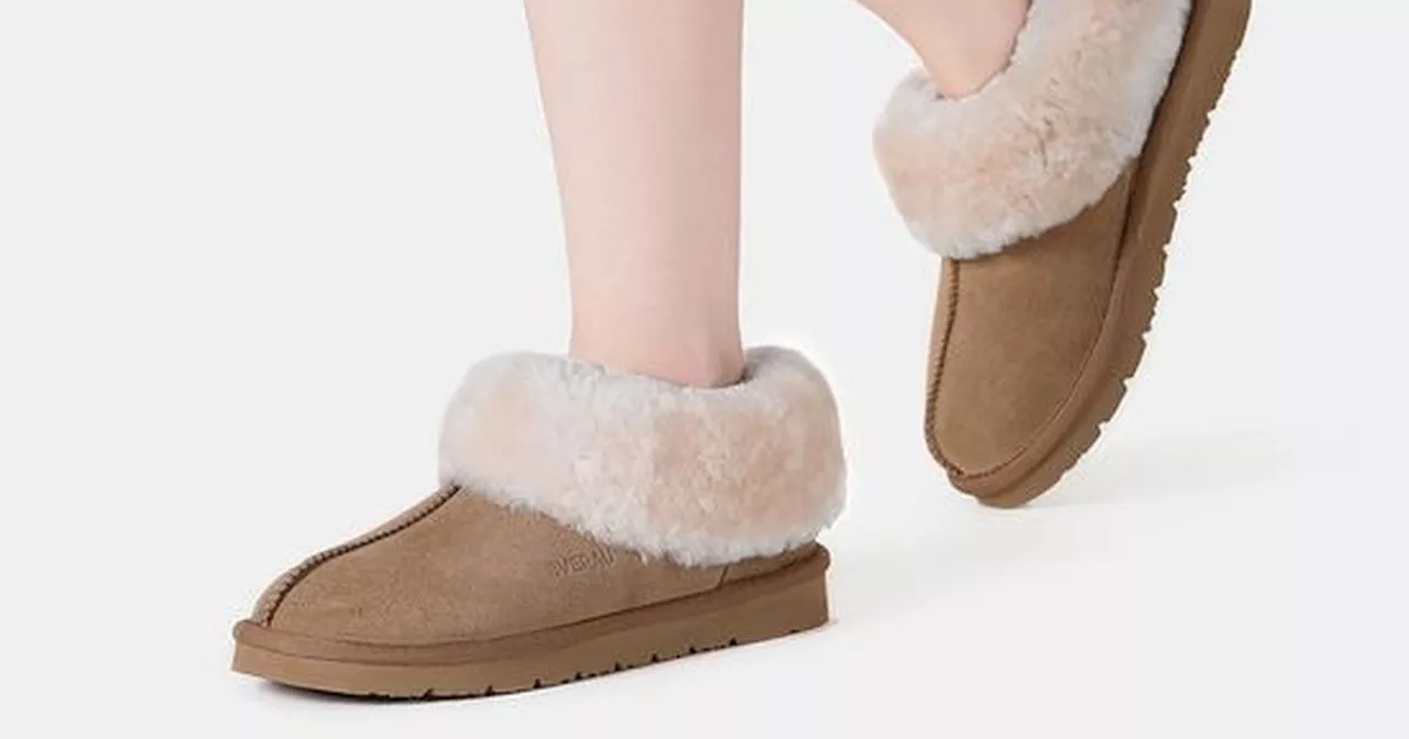 Debenhams shoppers rush to buy 'best ever' sheepskin slippers now 71% off