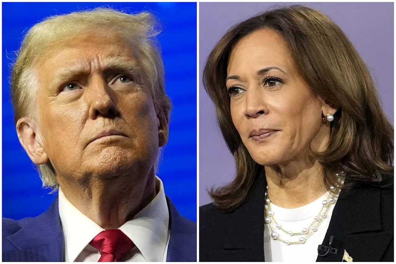 Harris campaigns in Michigan, Trump in Georgia as race for White House enters final stretch