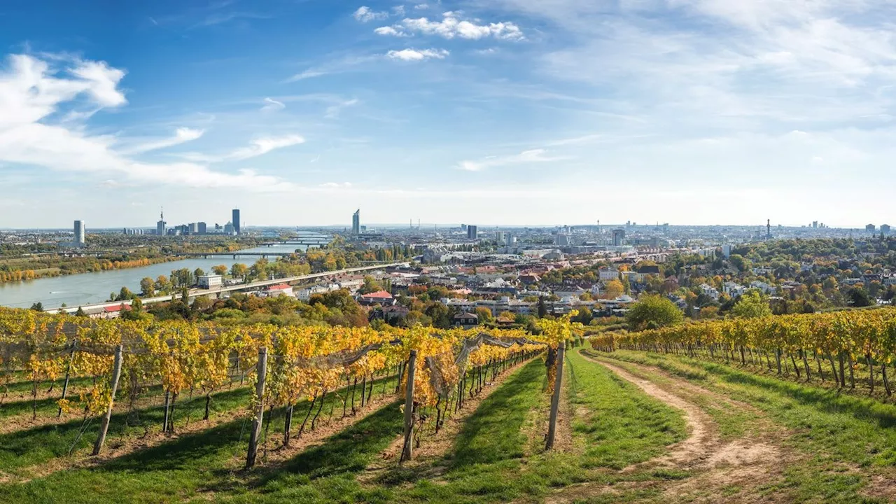 Prognose für Österreich - Erst 18 Grad, dann ändert wilde Wetterwende alles