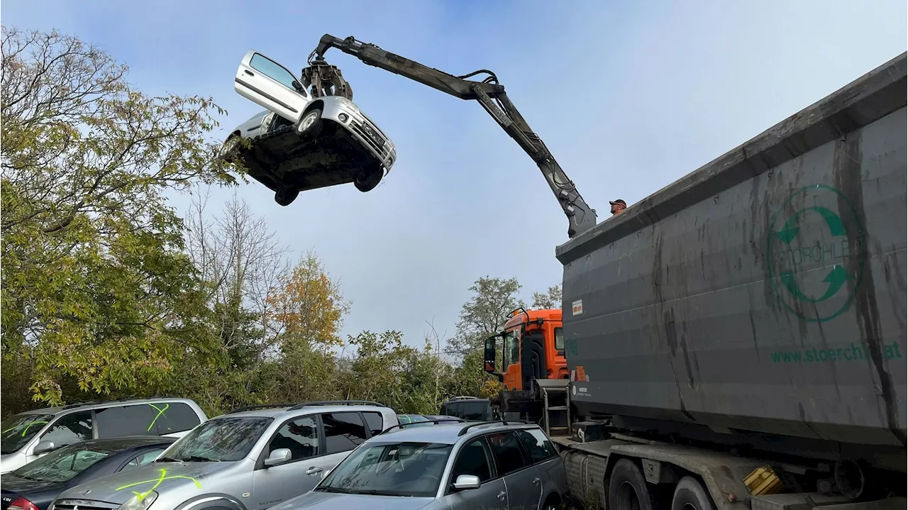 Schwerpunktaktion in Sollenau - Aktion scharf! 117 illegale Schrottautos beschlagnahmt