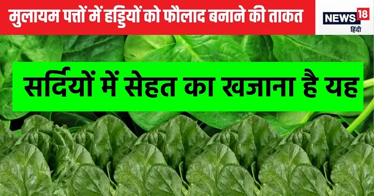 पूरी सर्दी भरपूर मिलते हैं ये पत्ते, सीजन भर खा लिया तो बीमारियों के खिलाफ ढाल बनी जाएगी बॉडी, फायदे जान हो...