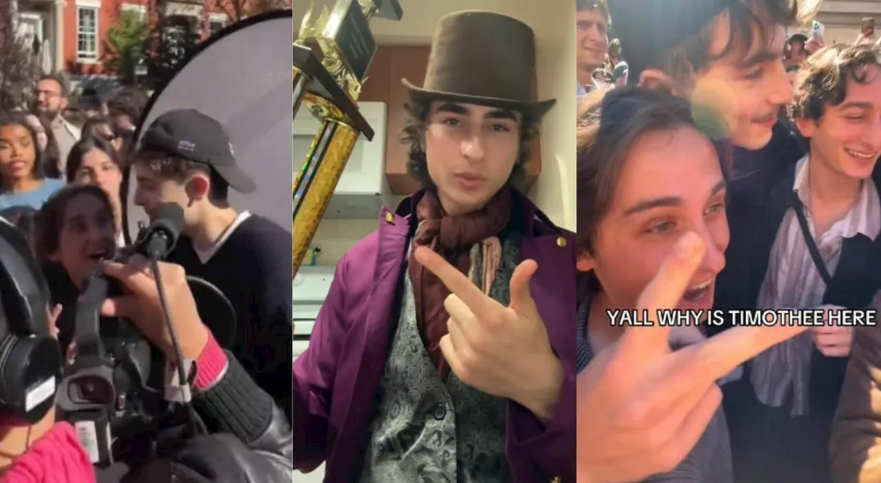 Timothée Chalamet si presenta alla gara dei suoi sosia: fan in delirio. Cosa è la moda dei look alike contest