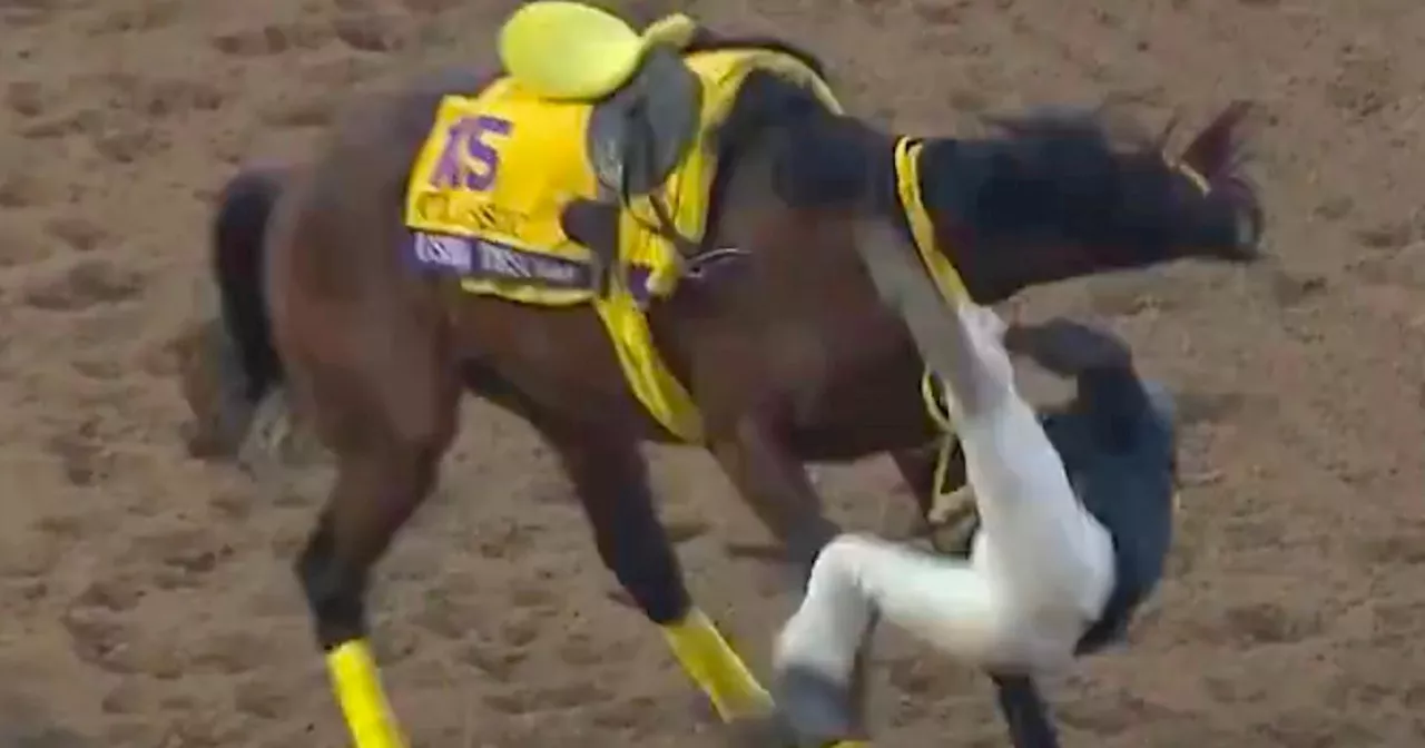 'Never seen that in 30 years' - Breeders’ Cup horse caught up in major scare