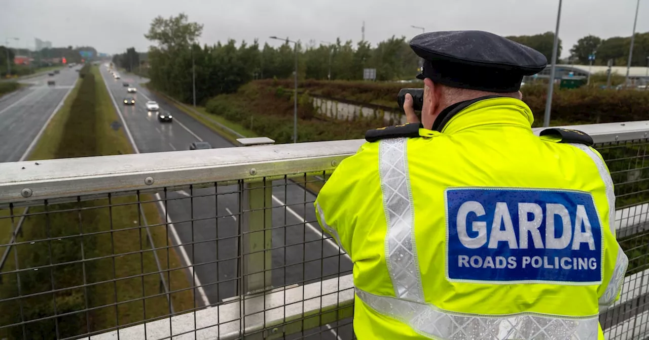 Garda road operation: Driver who overturned car on M7 had no driving licence, tested positive for drugs