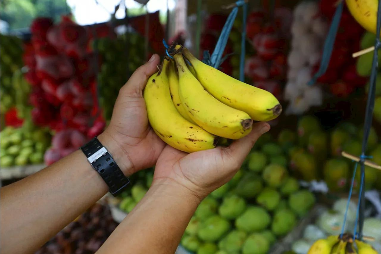 5 Makanan Tinggi Kandungan Antioksidan yang Wajib Anda Konsumsi