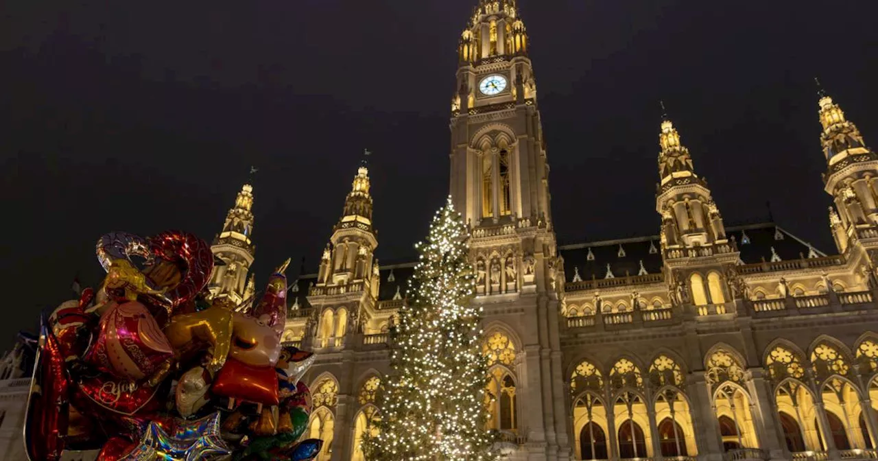 Geheimnis gelüftet: Das ist der Baum für den Wiener Christkindlmarkt