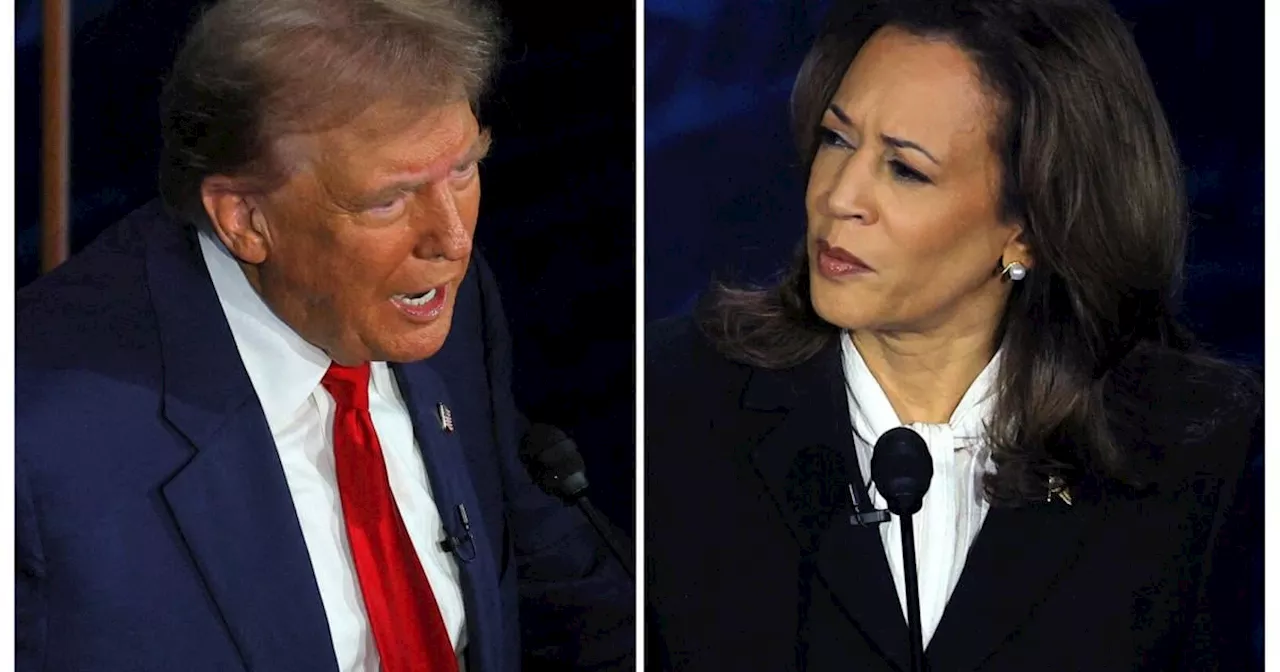 Harris vs. Trump: Der Countdown zur US-Wahl 2024 beginnt