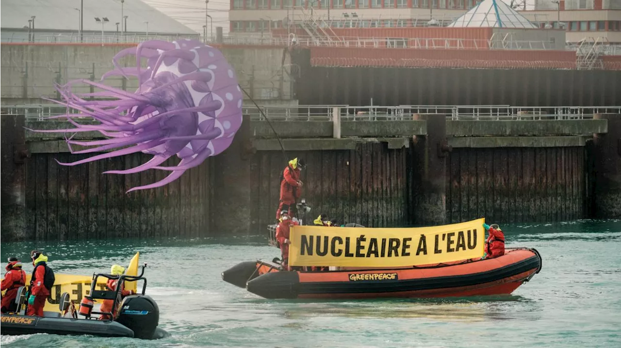 Vingt-cinq activistes de Greenpeace interpellés dans le périmètre de la centrale nucléaire de Gravelines