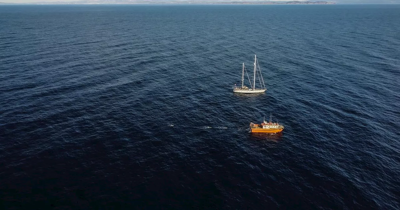 «Si l'on prend les bonnes décisions, on peut voir très rapidement des résultats»: écouter la Méditerranée pour protéger les baleines