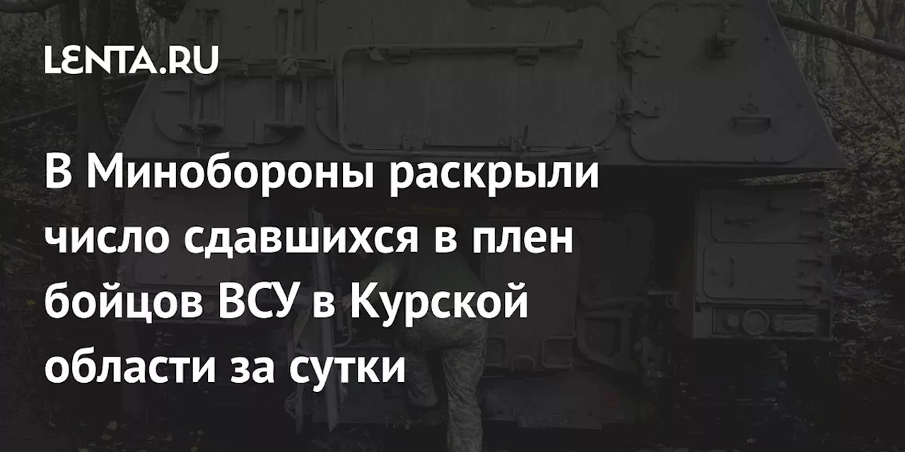 В Минобороны раскрыли число сдавшихся в плен бойцов ВСУ в Курской области за сутки