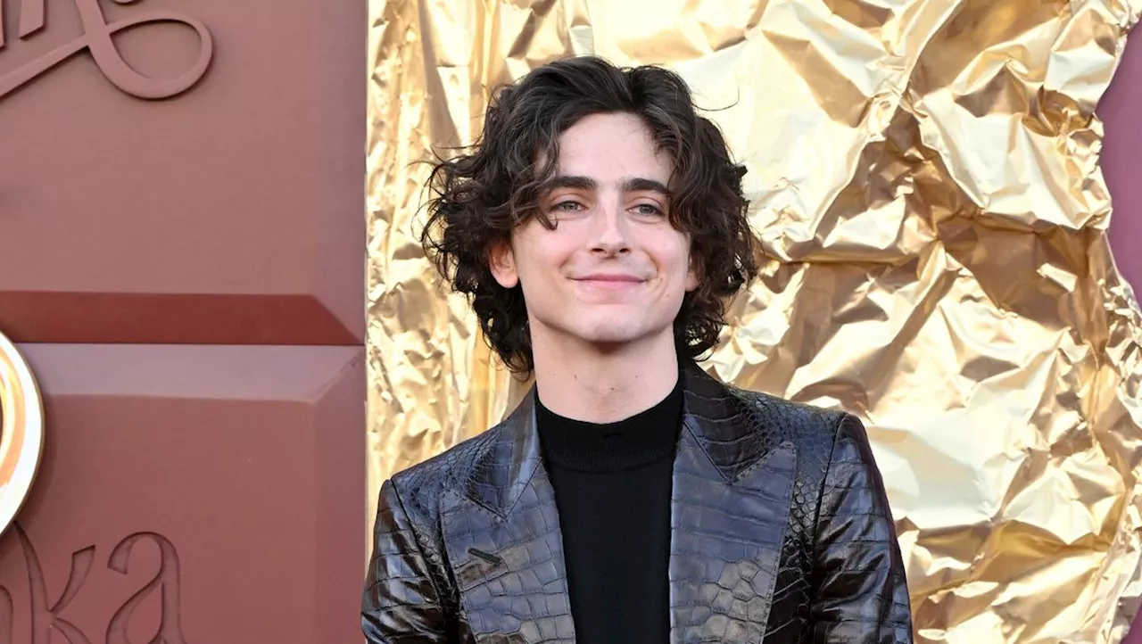 Timothée Chalamet Crashes a Timothée Chalamet Lookalike Contest