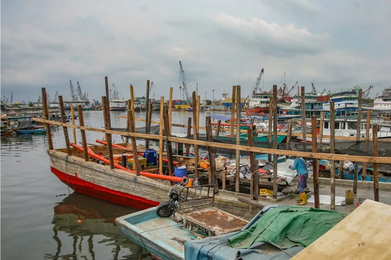 Prakiraan Cuaca 38 Kota di Indonesia, Selasa 29 Oktober 2024