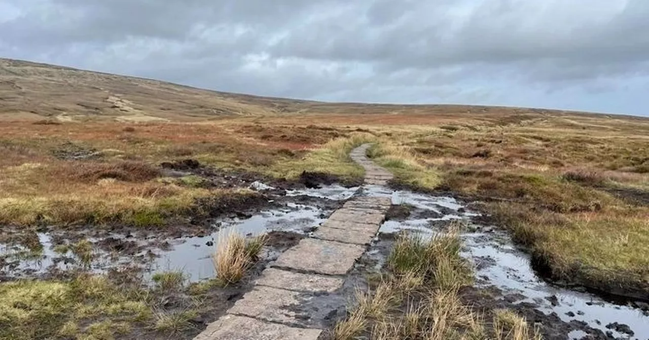 The 'big bog monster' near eerie crash site that is catching people out