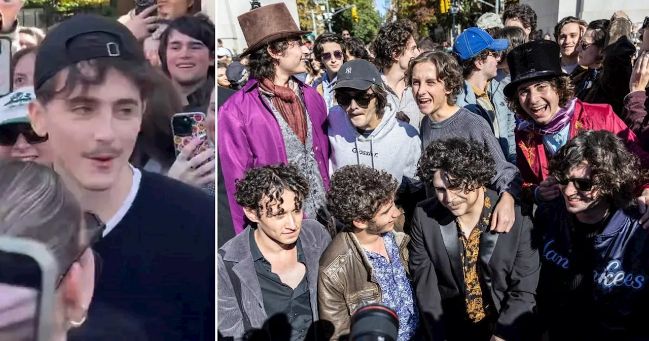 Can you spot the real Timothée Chalamet after actor crashes own lookalike competition?