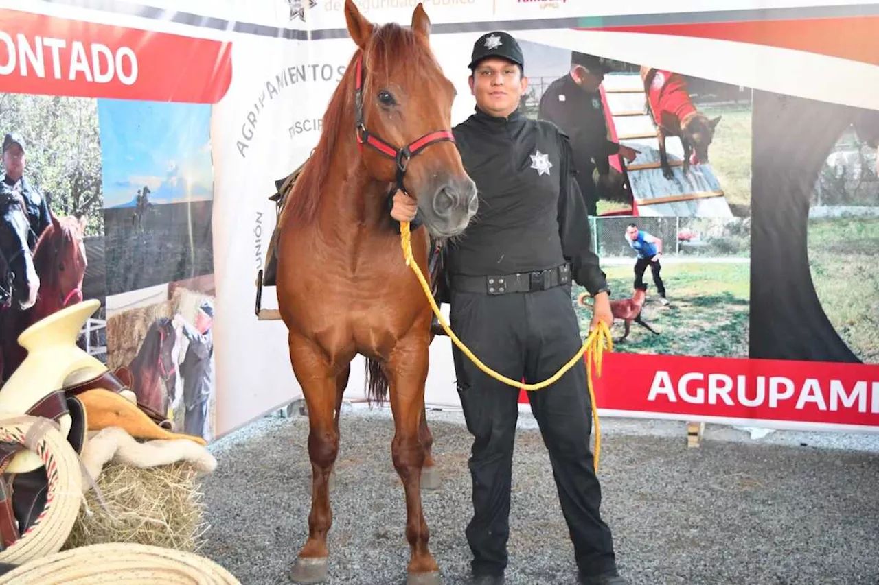 Guardia Estatal montada vigila sitios rurales y de naturaleza con más de 50 equinos