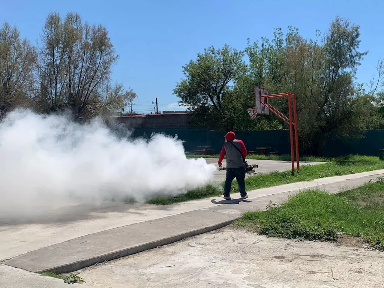 Secretaría de Salud amplía acciones contra el dengue en Coahuila