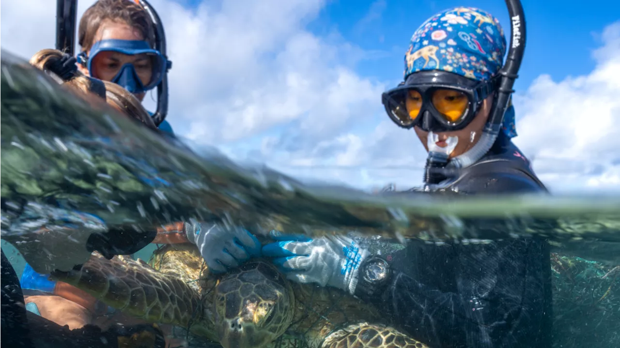 Marine debris removal season at Pacific monument ends with record-breaking results