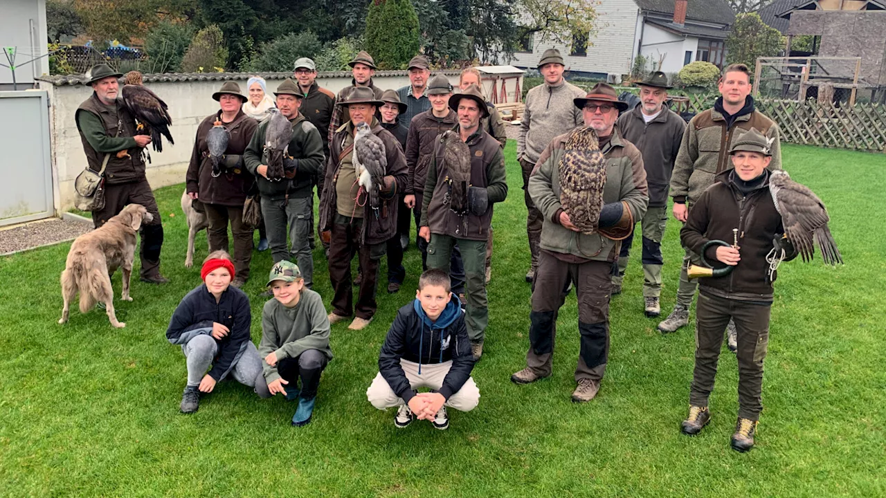 Mit Falken, Habichten und Uhu auf der Jagd in Gerersdorf