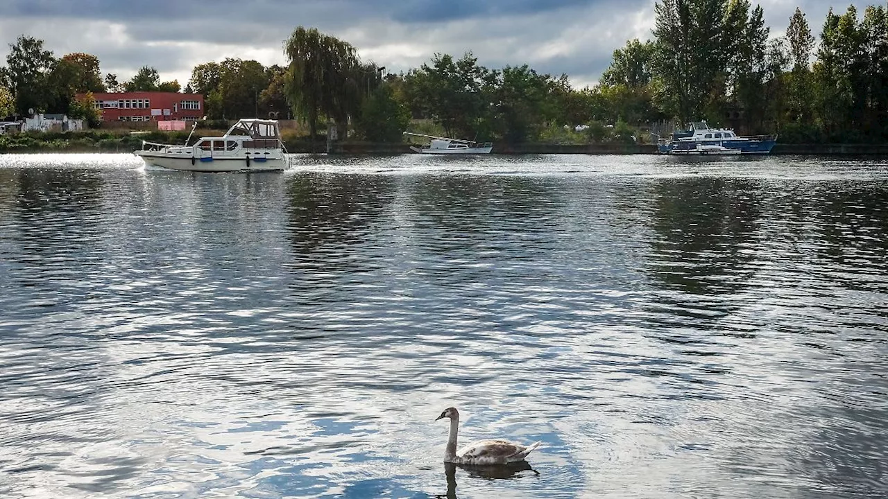 Berlin & Brandenburg: Viele Wolken und etwas Regen bei milden Temperaturen