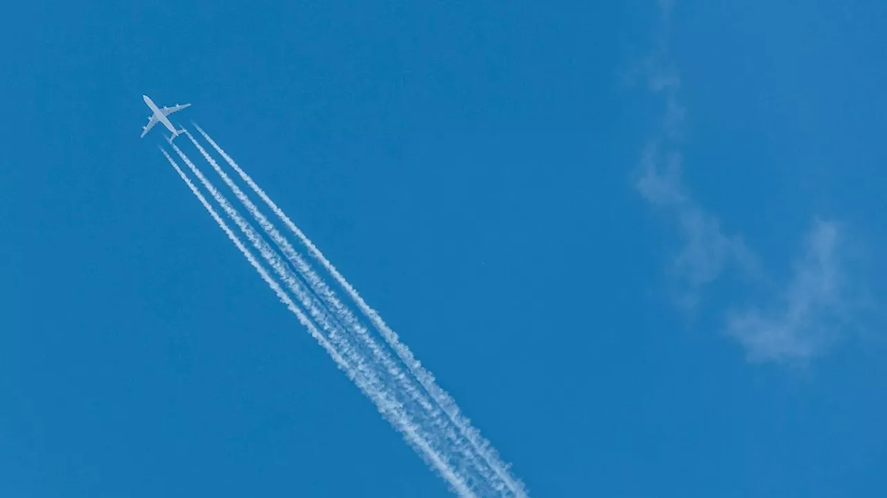 Thüringen: Winterflugplan: Von Erfurt aus ins Warme