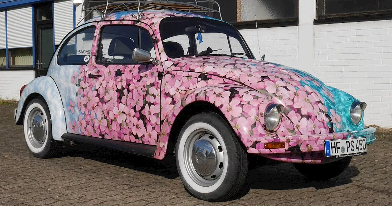 Kunterbunter VW Käfer: 21-Jährige belebt Oldtimer-Szene im Kreis Herford