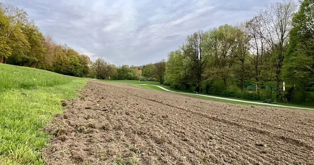 Pfefferspray-Attacke an Bielefelder Hundewiese: Täter mit auffälligen Augen gesucht