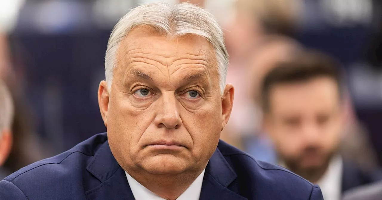 Ungarns Regierungschef Orban besucht Georgien