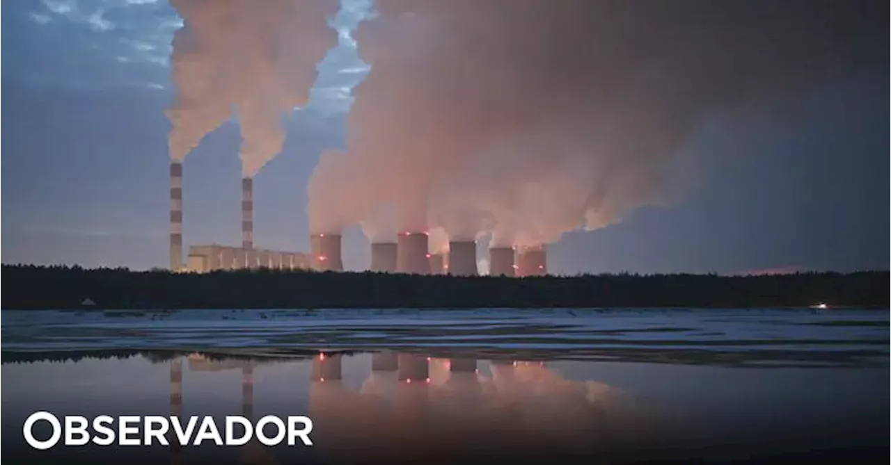 Multimilionários produzem mais carbono em 90 minutos do que pessoa média numa vida , segundo relatório