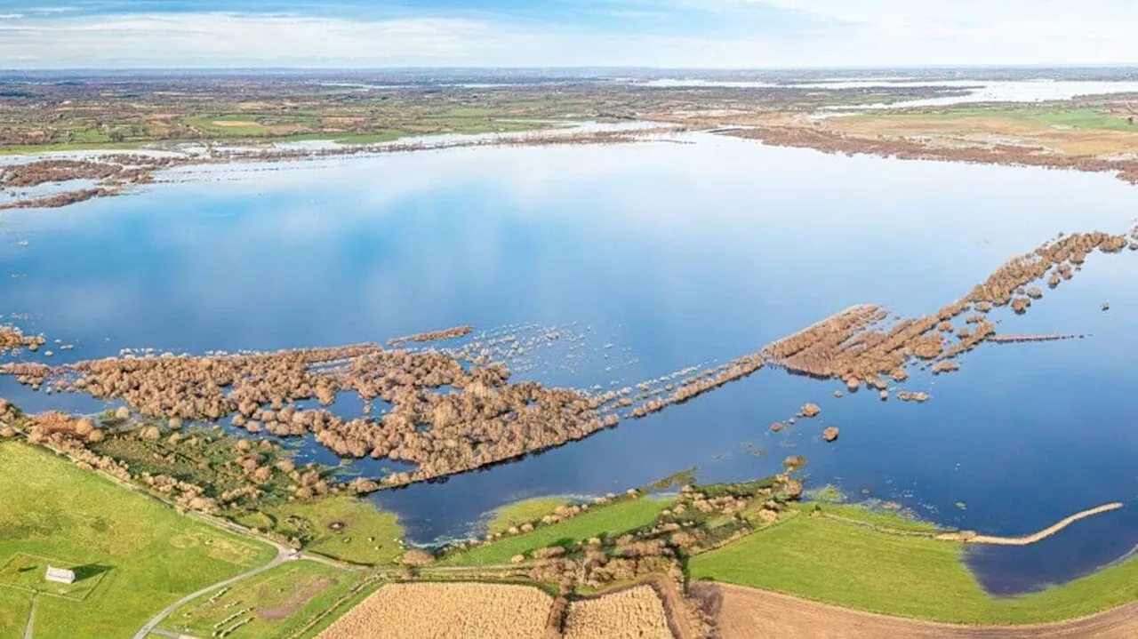 Dans le Cotentin, le projet de la tourbière de Sèves gratte une subvention