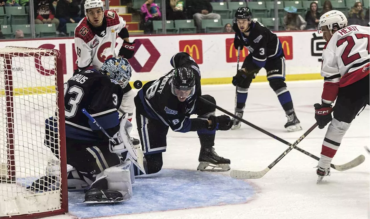 Cougars' third-period comeback ends with 5-4 shootout loss