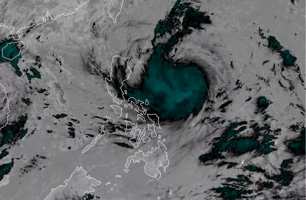 Leon now a severe tropical storm; rapid intensification expected