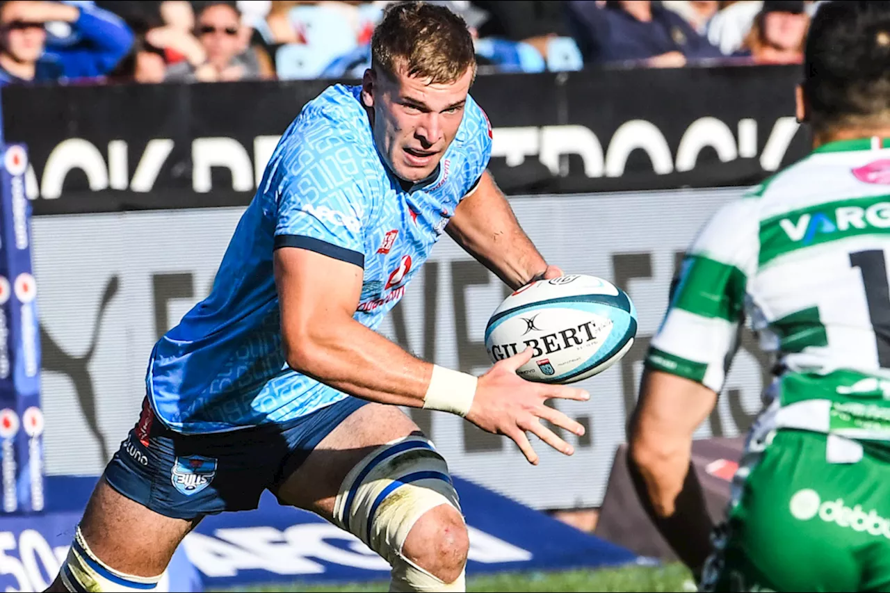 Krige: Hanekom the ideal Bok loosie