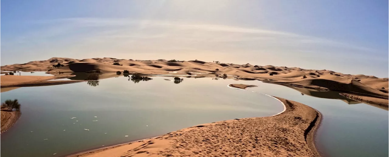 'Exceptional': Intense Rainfall Has Transformed The Sahara Desert