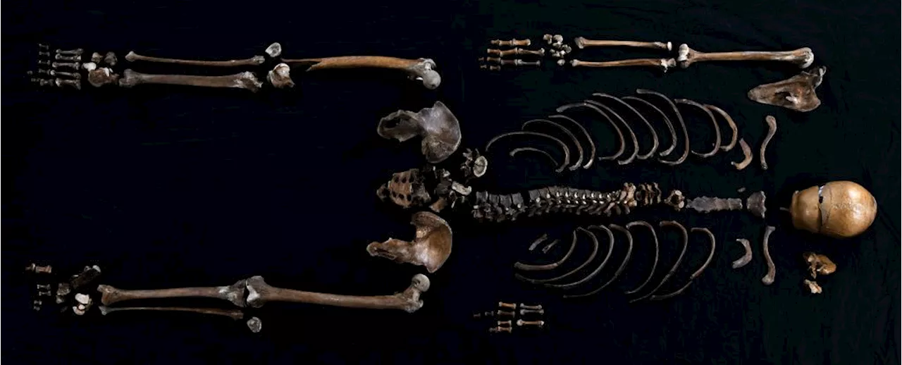 This Skeleton Is The First Person Ever Found From a Norse Saga