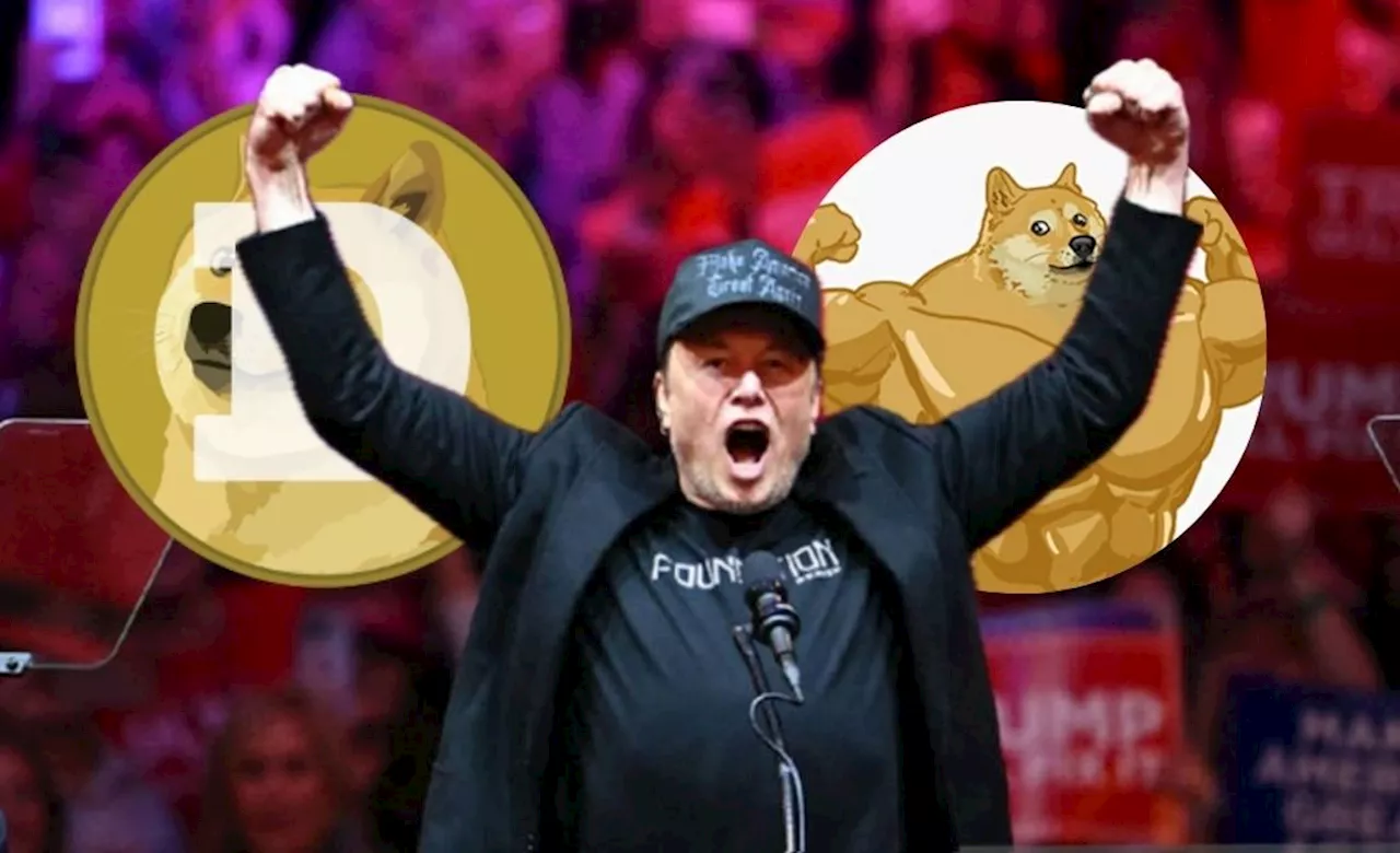 Elon Musk โพสต์ท่า “Doge-Flex”: จุดเปลี่ยนที่ทำให้ Dogecoin และ Neiro พุ่งอย่างรุนแรง !