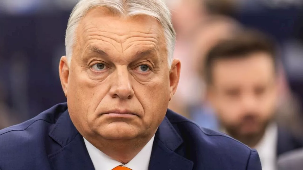 Nach Georgien-Wahl: Ungarns Regierungschef Orban besucht Georgien