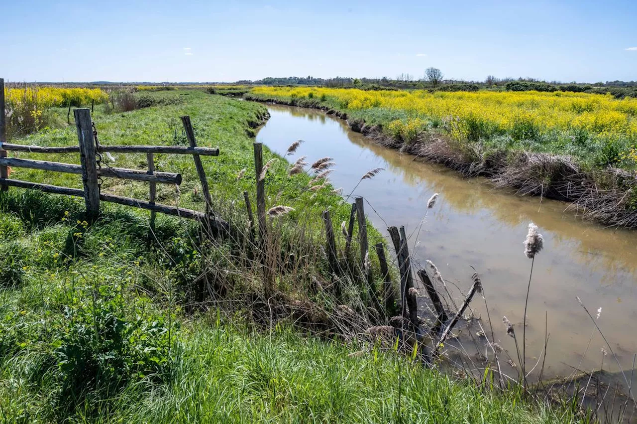 Loto de la biodiversité : 19 projets retenus en France, dont deux en Charente-Maritime