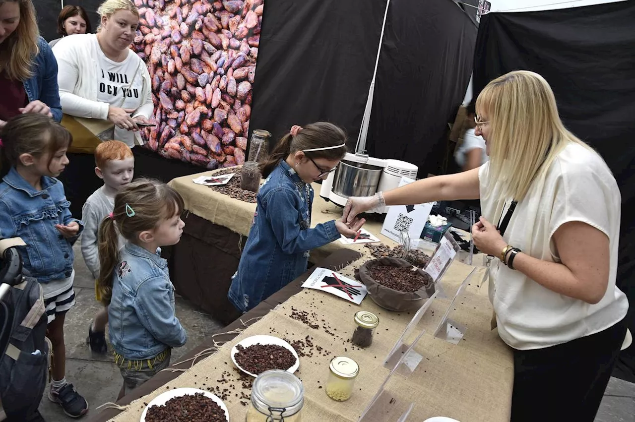 Pays basque : le chocolat de Bayonne ose le pari des alliances gourmandes