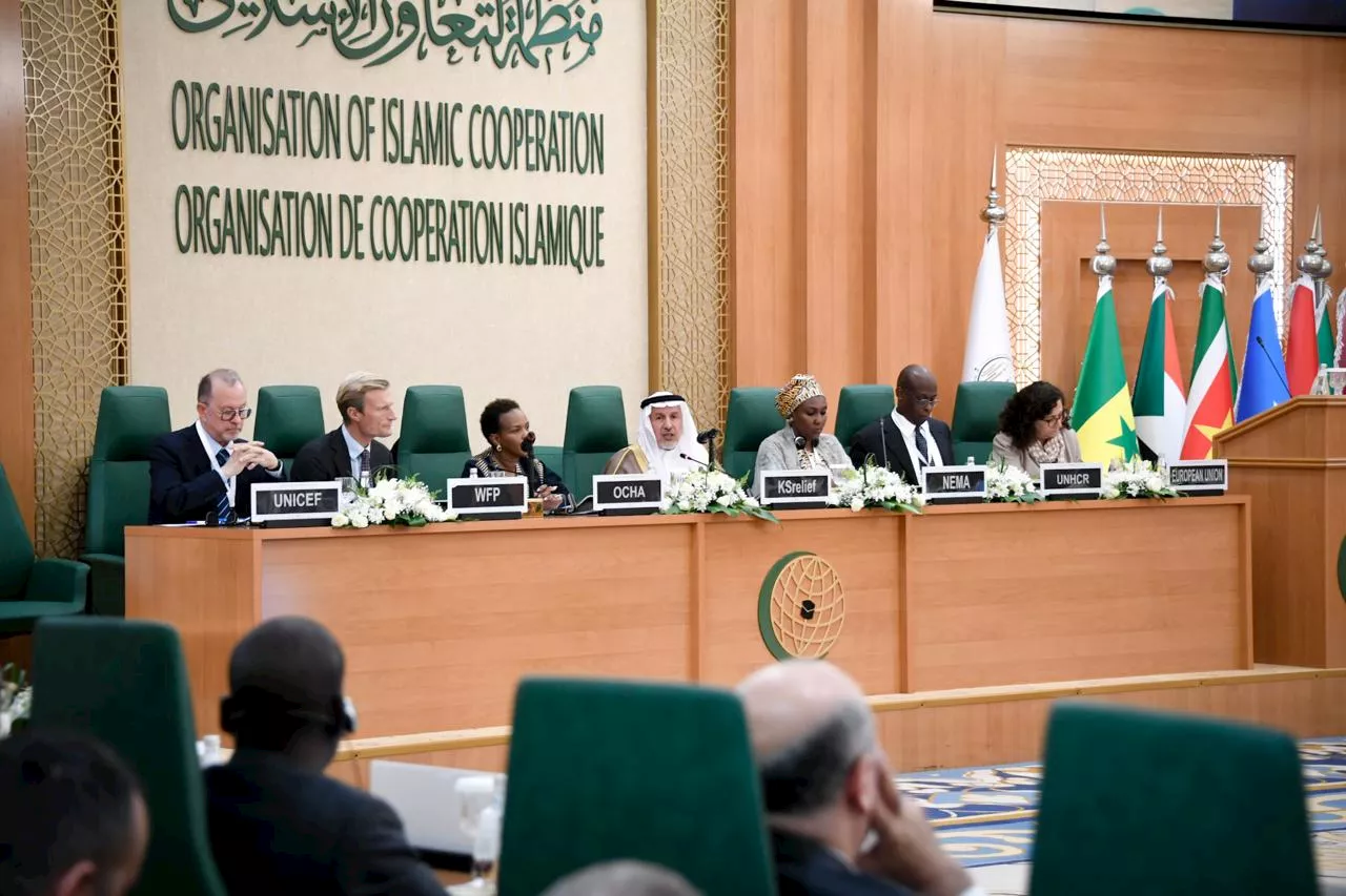 Saudi Arabia raises $1.1bn for displaced persons in Sahel, Lake Chad