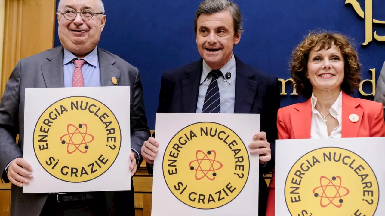 Nucleare in Italia? Calenda: 'Già 50mila firme raccolte'. Ecco dove potrebbe nascere l'impianto