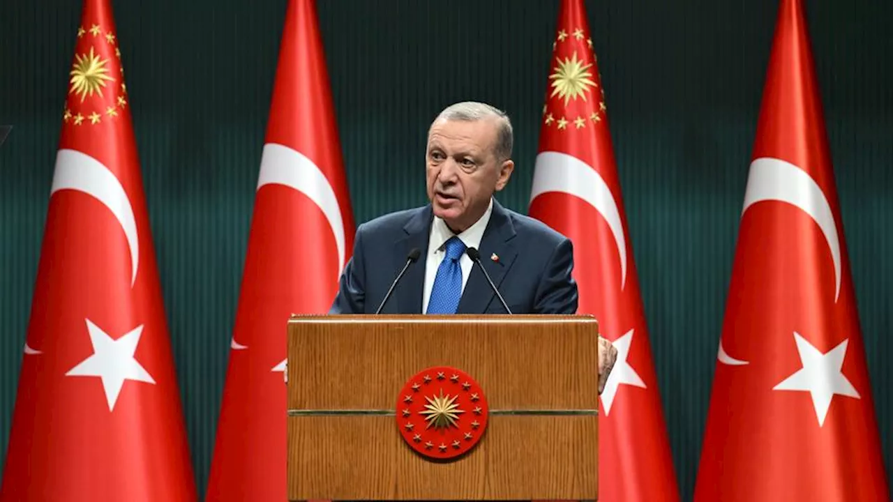 Türkiye’s BRICS ties not an alternative to existing alliances — Erdogan