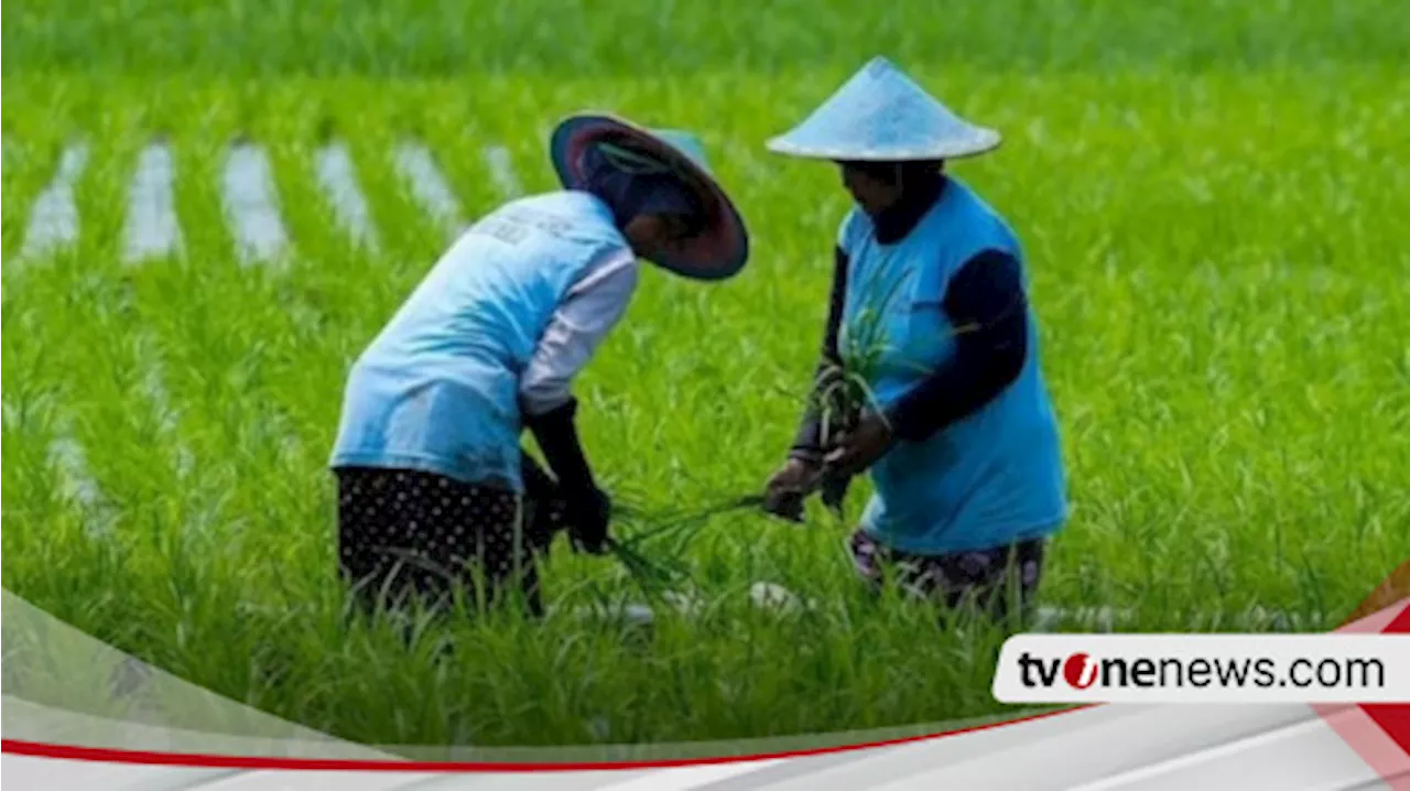 Pemutihan Kredit Macet Petani, Nelayan dan Pelaku UMKM Akan Diatur Perpres