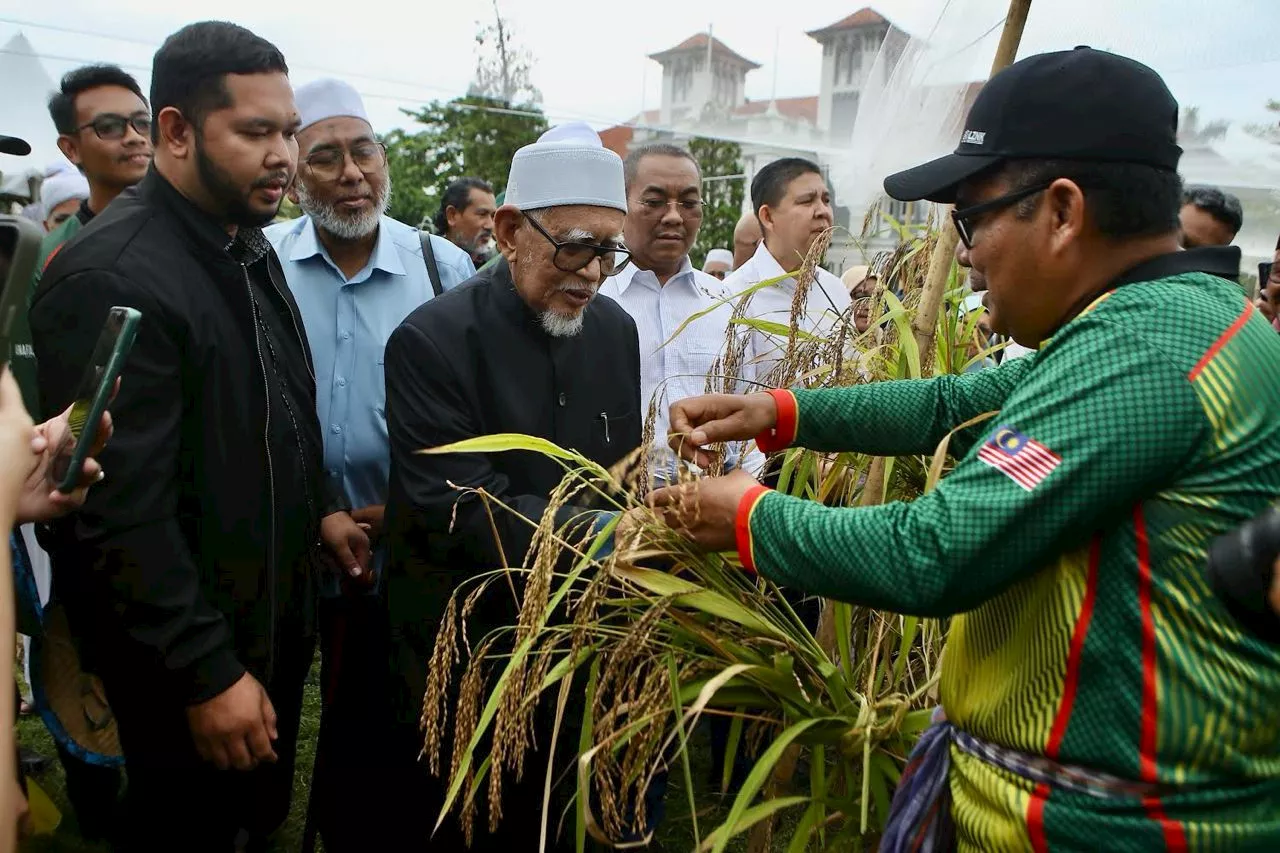 Padi huma alternatif tampung kekurangan bekalan beras